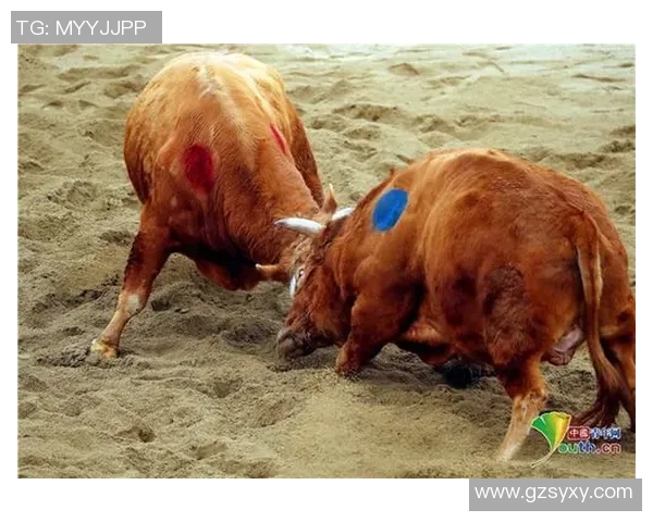 韩国与斯里兰卡展开激烈较量预选赛争夺战即将上演